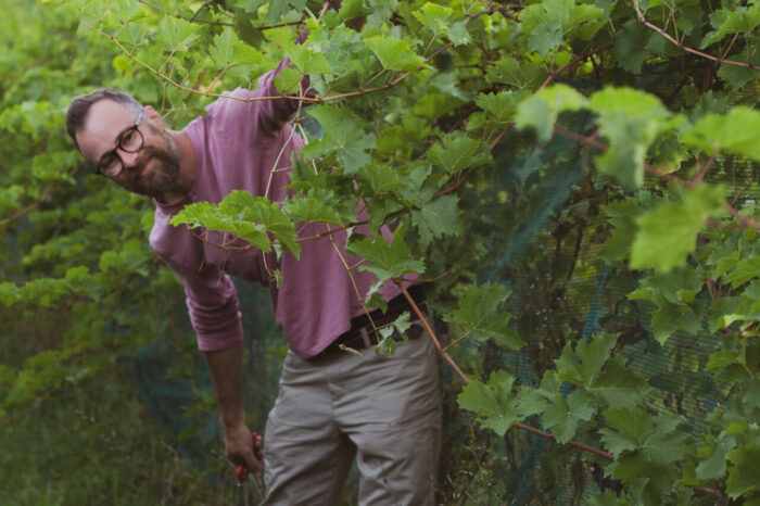 È di Cormons il Giovane Vignaiolo dell’anno Slow Wine 2027